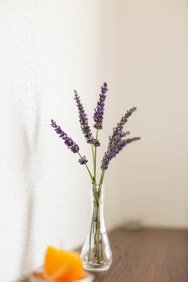 Apartmani Mia Prozor ภายนอก รูปภาพ
